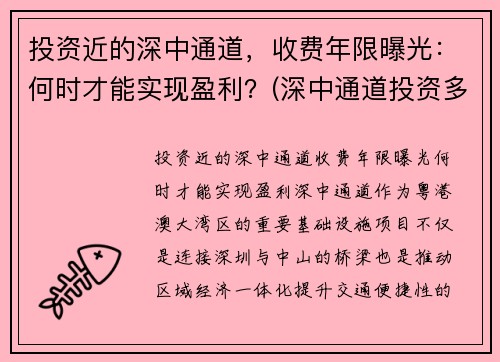 投资近的深中通道，收费年限曝光：何时才能实现盈利？(深中通道投资多少)