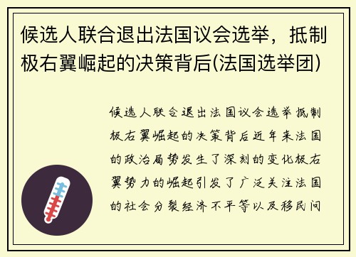 候选人联合退出法国议会选举，抵制极右翼崛起的决策背后(法国选举团)