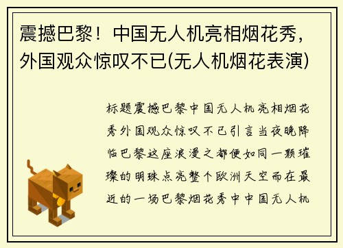 震撼巴黎！中国无人机亮相烟花秀，外国观众惊叹不已(无人机烟花表演)
