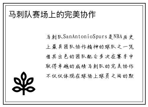 马刺队赛场上的完美协作